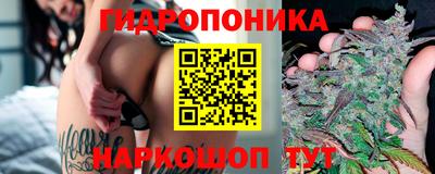 a pvp Краснодар