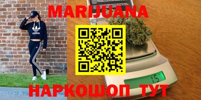 гидра Краснознаменск