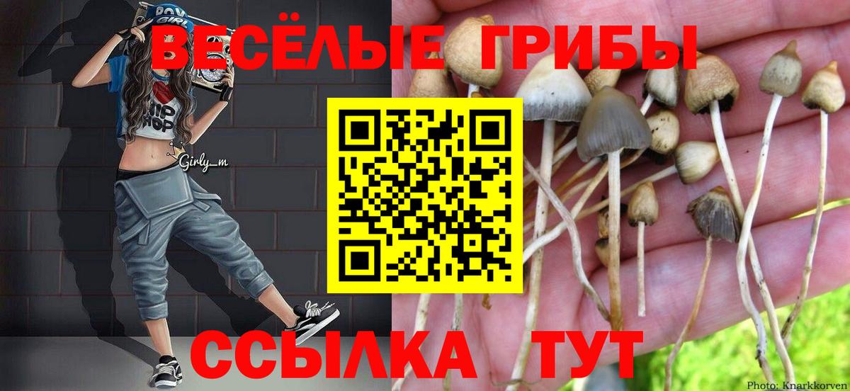 Звенигород  Галлюциногенные грибы MAGIC MUSHROOMS  Вход с VPN 